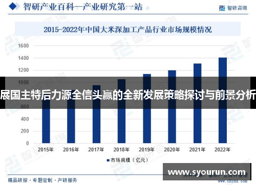 展国主特后力源全信头赢的全新发展策略探讨与前景分析