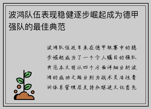 波鸿队伍表现稳健逐步崛起成为德甲强队的最佳典范