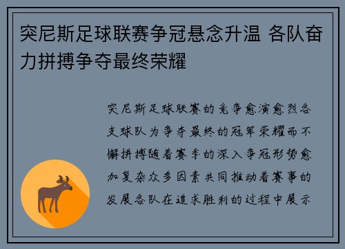 突尼斯足球联赛争冠悬念升温 各队奋力拼搏争夺最终荣耀